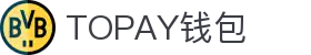 TOPAY钱包 - 安全便捷的个人财务管理工具